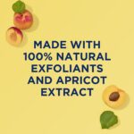 St. Ives Fresh Skin Face Scrub Deeply Exfoliates for Smooth, Glowing Skin Apricot Dermatologist Tested, Made with 100% Natural Exfoliants, 6 Ounce (Pack of 6)